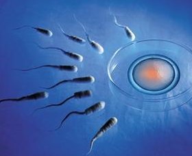 四川大学公立第二医院试管婴儿成功率有60%吗？