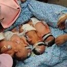 无锡试管婴儿机构盘点：揭秘3大助孕中心费用及成功率榜单